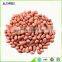 the largest supplier of peanuts kernel and best quality peanuts kernel