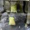 Full Automatic High Efficiency Fruit and Vegetable Weight and Packing Machine