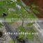 farm garden drip irrigation tape drip strip for irrigation system