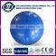 Great Quality Tasteless PVC Fitness Ball with Customized Logo