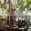 Home Decoration 30cm Tall Glass Bottle Flower Vase