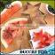 NBRSC 4PCS Baking Metal Star Shape Fruit Biscuit Pastry Cookie Cutter set