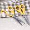Factory price best seller popular PP handle students scissors