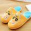 Fast Delivery Classical Washable Indoor Slipper