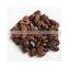 pongamia oil