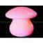 Decoration Table Glow Ligthing