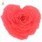 10cm Big Heart-Shape Preserved Rainbow Rose Flower