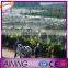 Plastic 10*10mm mesh HDPE anti bird net for grapes factory export