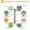Stainless Steel Hand Held Cabbage Seedling Transplanter for Vegetable Seedlings
