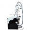 Portable Fat Freeze Body Fat Cell Reduction Slimming Beauty Machine For Sale