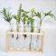 Modern Flower Bud Vase Stand Tabletop Terrarium wooden Wall Hanging Test Tube shelf