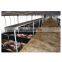 China Steel Structure Prefabricated Shed House Pig Poultry Farms