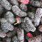 Sinocharm New Crop BRC-A Certified Grown in Greenhouses IQF Frozen Mulberry