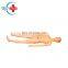 HC-S104 Full-featured wound care simulation/China medical used mannequin for student/nursing manikin