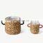 Hot Sale Set of 2 Natural Water Hyacinth Planter With Handle Handwoven Storage Basket Cheap Wholesale