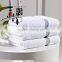 Cotton towel Hotel adult man Egyptian cotton satin face/hand towel