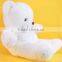 Lovely Kids Favorite Soft Toy White Couple Bear/plush white teddy bear toy