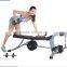 Multifunction High Quality Yongkang Factory Adjustable Sit-up Bench