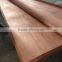 rotary cut bintangor wood face veneer for India market