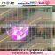  outdoor full color transparent led glass display soft LED window glass screens XW5 led display
