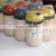 Different Kinds of Toothpicks--fruit Toothpicks