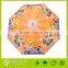 Wholesale Cheap Umbrella, Customer Printing, Kids Umbrella