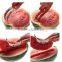 2016 Latest Watermelon and Melon Corer Cutter