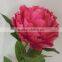 Cheap Wholesale artificial single long stem Peony flower                        
                                                                                Supplier's Choice