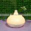 Essential Oil Diffuser for Aromatherapy Ultrasonic Cool Mist Humidifier 300ml