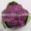 12cm Artificial Vegetable Decoration Red / Green Cauliflower