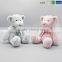 New Product EN71 Standard Pink and Blue Bear Baby Toys with LOGO