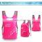 fashion waterproof backpack waterproof foldable backpack