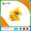 Animal Toy-Plastic Dog Toy