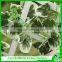 Artificial leaves for decoration