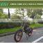 Black 26" High carbon steel Electric Bike 48V 350W