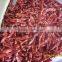 chaotian chilli