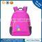 wholesale sport free samples backpacks lady climbing bag