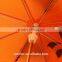 Tiger safety cartoon umbrella children umbrella