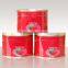 Made in china OEM ODM ketchup export Saudi Arabia Canned Beads In Tomato Sauce 425g 227g Beads In Tomato Paste