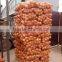 Gansu Fresh Onion
