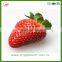 fresh strawberry for sale from Jiangsu Province China
