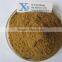 GMP Kosher Natural Gotu Kola Extract Powder Asiaticosides