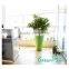 Hot Selling Colorful Plastic Flower Pot for Home Decoration