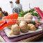cy286 ABS +Stainless Steel Handled Easily clean Garlic Press