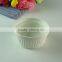 16cm regular design decal porcelain fresh bowl noodle bowl with plastic cover/lid in stock