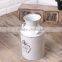 High Quality Antique Metal Flower Jug/Metal Milk Pot/Metal Flower Dispalyer