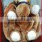Soft plush horse animal backpack