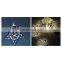 New 2M 10 LED Outdoor LED christmas decoration light for party ,garden and Christmas tree