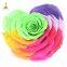 10cm Big Heart-Shape Preserved Rainbow Rose Flower