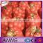 PE/PP Materials Carrots Onions Potato Wash Net Sacks Vegetables Mesh Bags